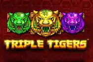 TRIPLE TIGERS?v=5.6.4